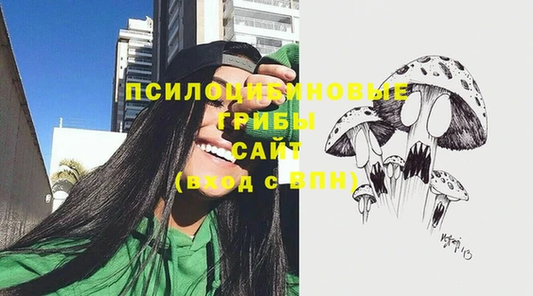 прущая мука Верея