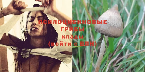 спиды Верхний Тагил