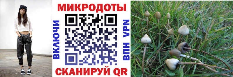 наркошоп  Верхний Тагил  Псилоцибиновые грибы Psilocybine cubensis 
